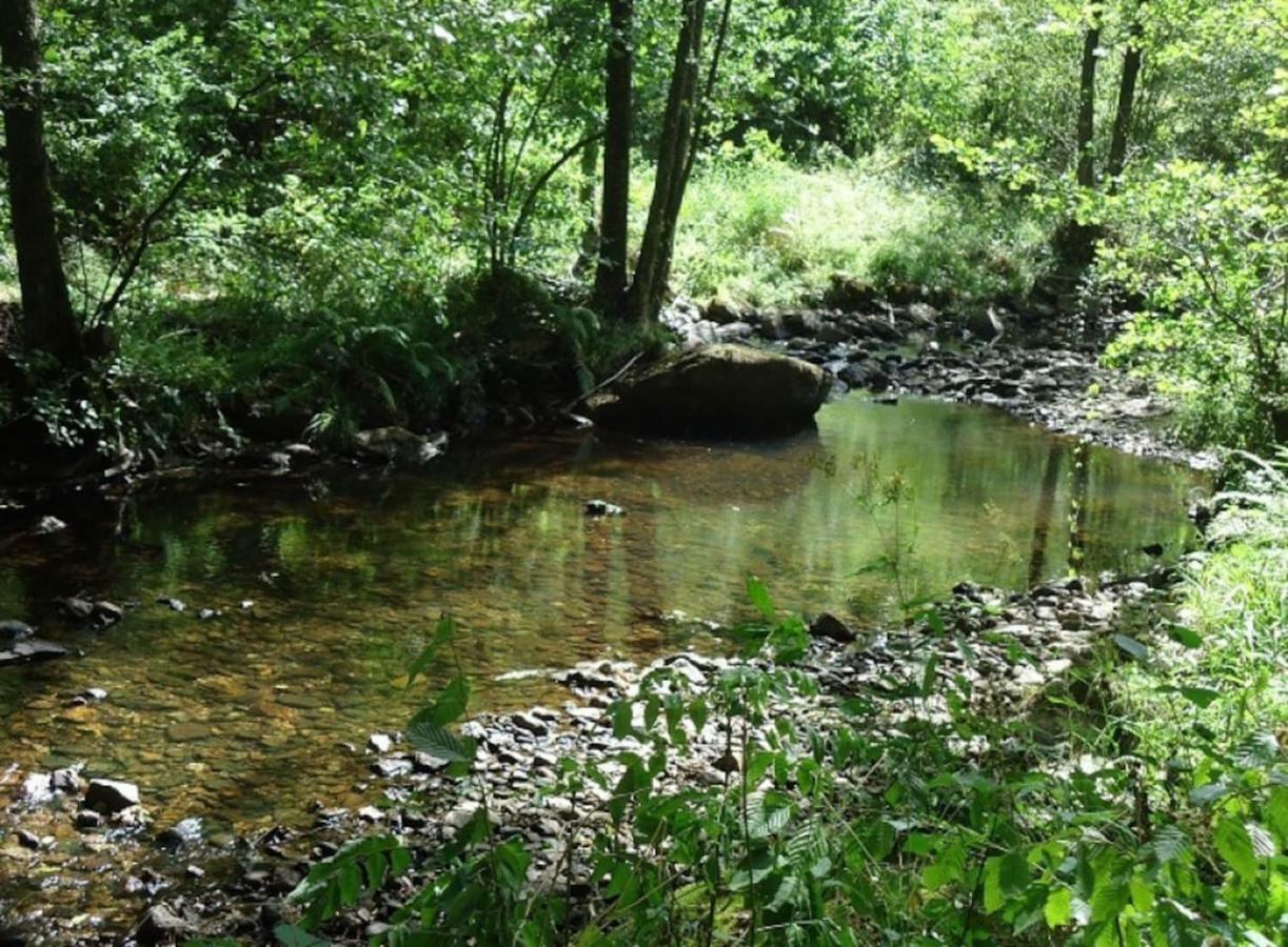 Вилла La Chouette Au Bouleau Hargnies Экстерьер фото